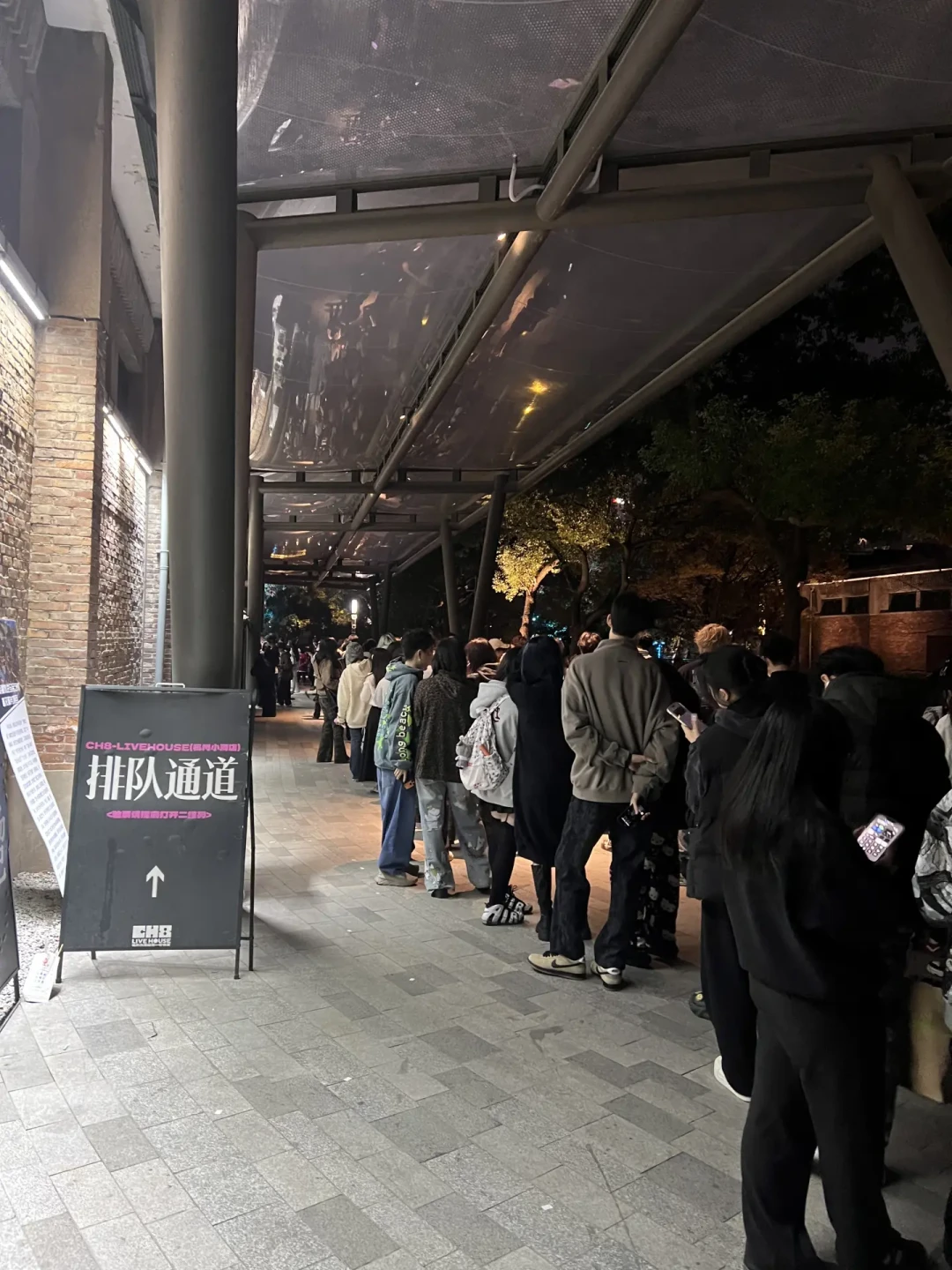 8点演出,1点开始排队:livehouse门口这场“排位战”,比抢票更需要一张攻略表