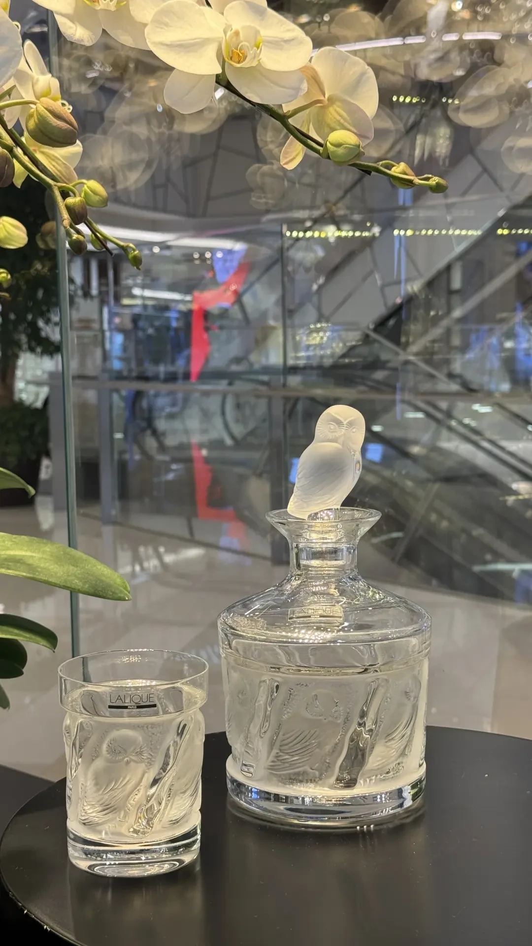 同一款酒倒进不同醒酒器,品鉴师都喝懵了?这场2.4万赞的争论,终于把醒酒器的钱说明白了