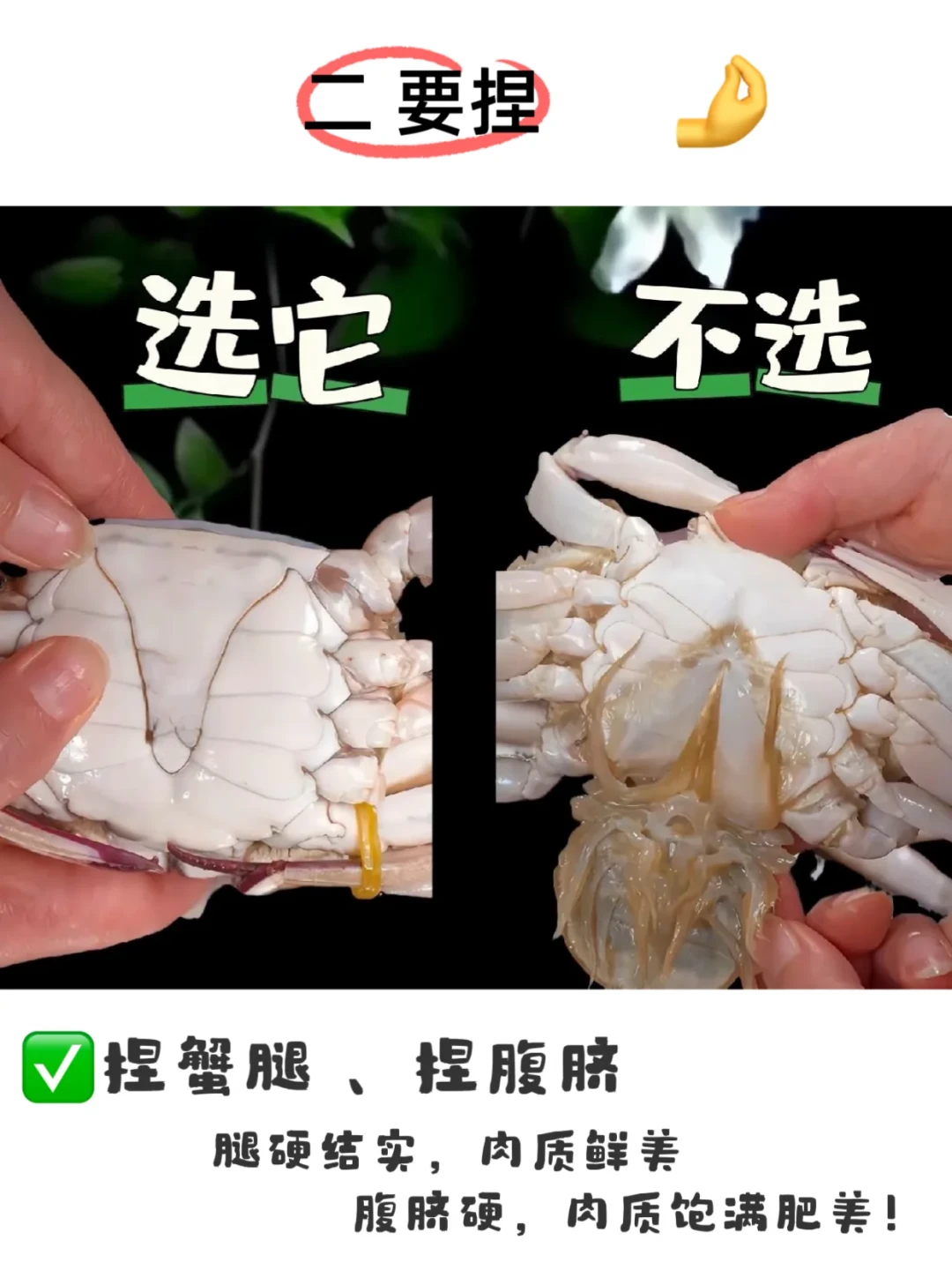 梭子蟹丰收价跌三成,为什么有人还是开出空壳?买前记住这4步