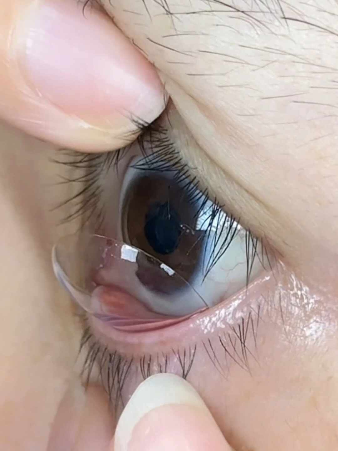 第一副美瞳,可能撑不过军训:我把全网约50条过来人的经验翻完,给近视学生整理了这张决策表