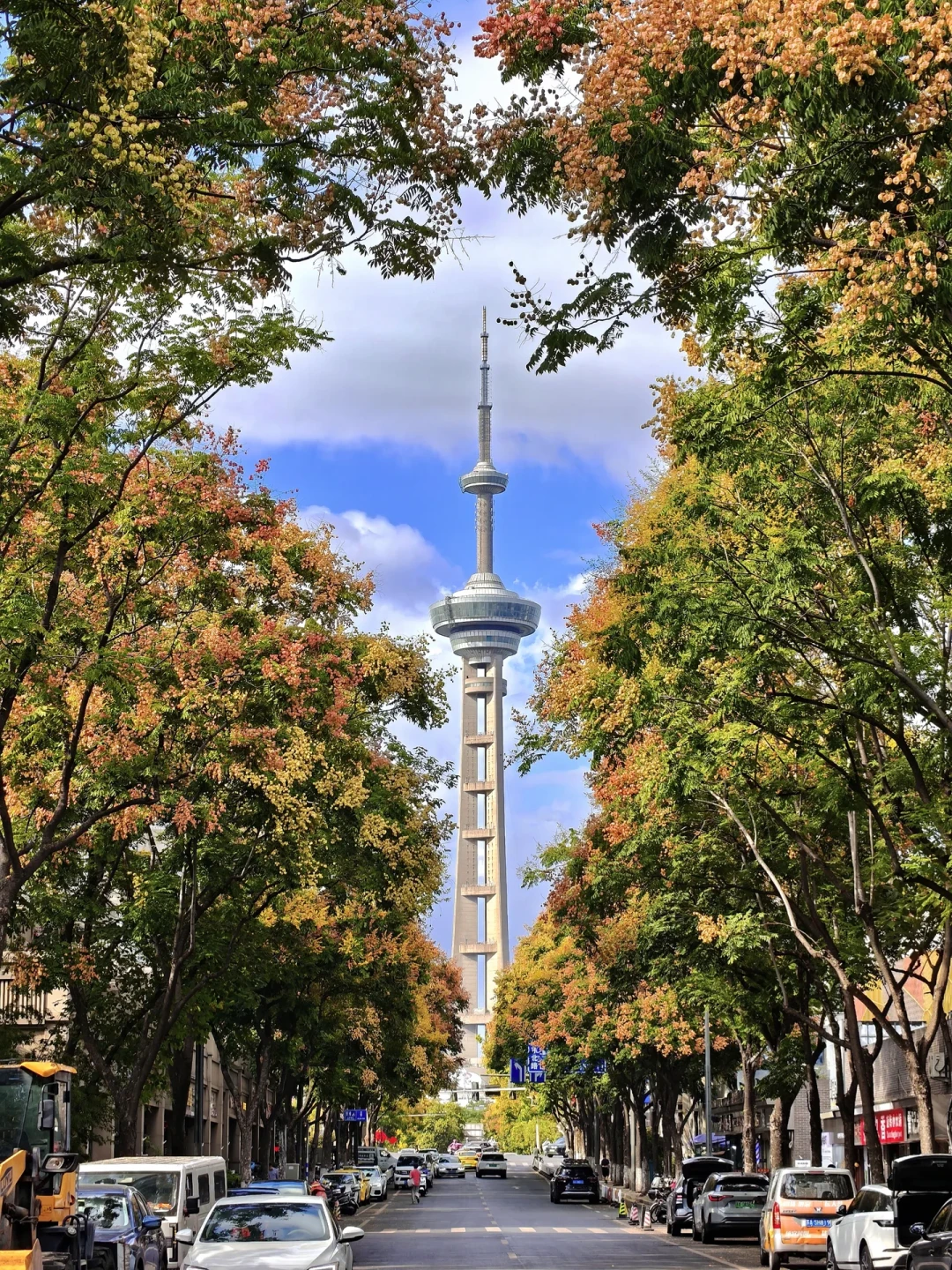 栾树果子提前红了:今年9月的日系出片档期,等国庆就只剩尾巴了