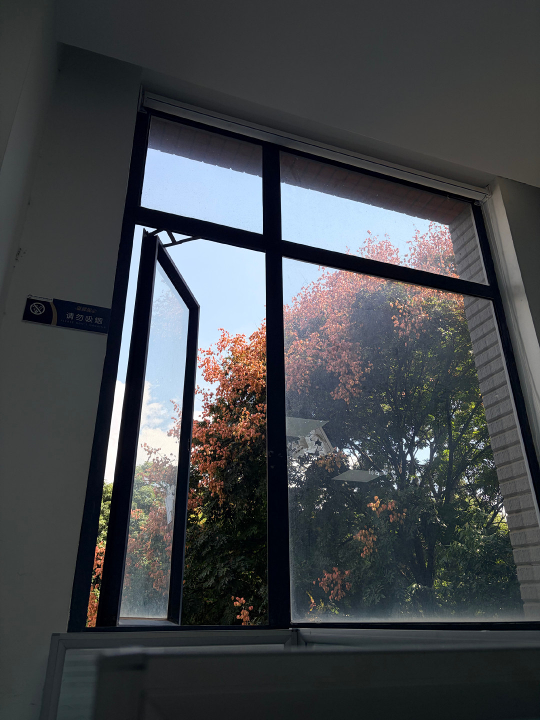 栾树果子提前红了:今年9月的日系出片档期,等国庆就只剩尾巴了
