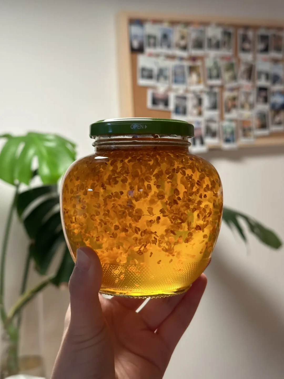 成都的桂花八月底就“提前营业”?别急着摘——今年花期不看老黄历:盯住降温,等第二轮再熬桂花蜜