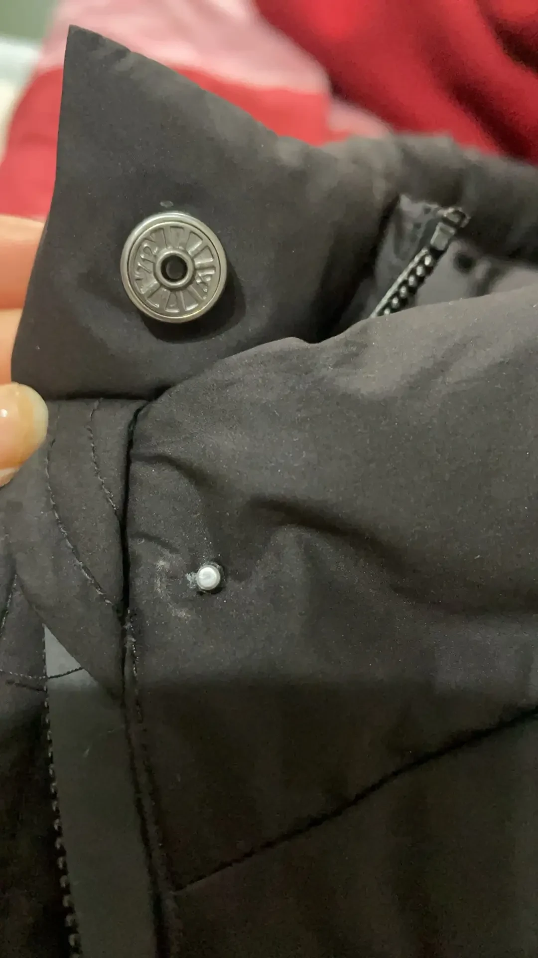 歌莉娅冬装一年降价四波:鹅绒服2399打到对折、好看的降到3z,四类人四个下手时间
