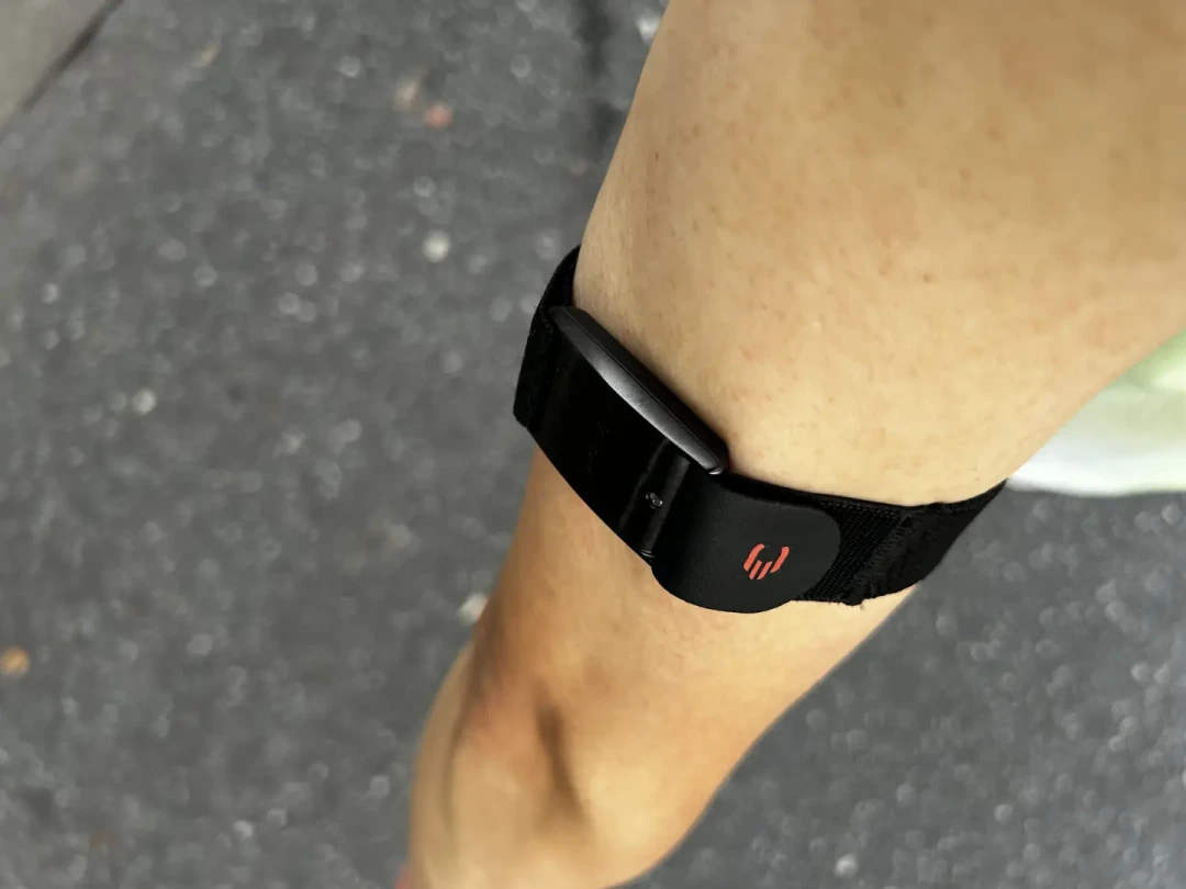 博能Polar Loop上市一年:被固件修掉的坑、被老玩家自救的坑、谁也救不了的坑,这次说清了