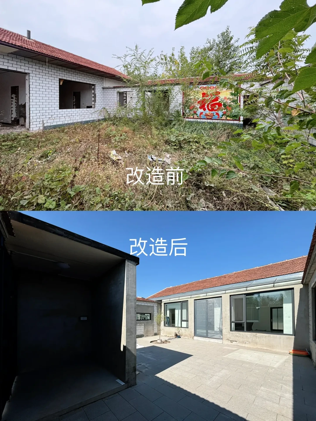 院子熬过暴晒和台风,先别急着砸,入秋做一次「分诊」