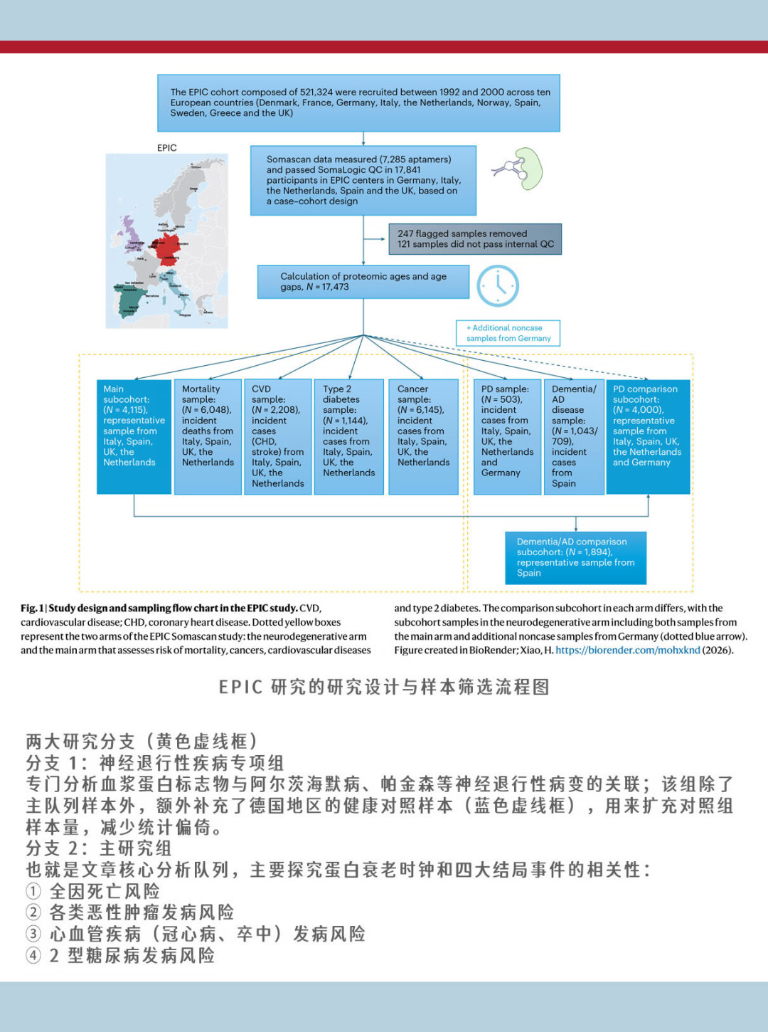 “年轻16.5岁”和“16个月老了8.3岁”,都是真的检测报告:核完生物年龄检测的三条路线和今年夏天的顶刊综述,这钱多数人可以不花