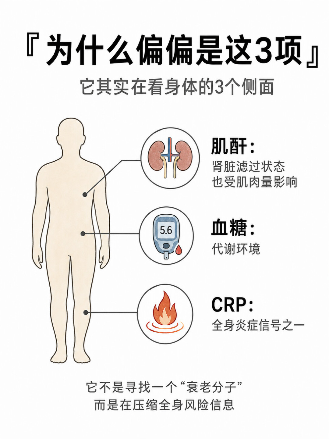 “年轻16.5岁”和“16个月老了8.3岁”,都是真的检测报告:核完生物年龄检测的三条路线和今年夏天的顶刊综述,这钱多数人可以不花