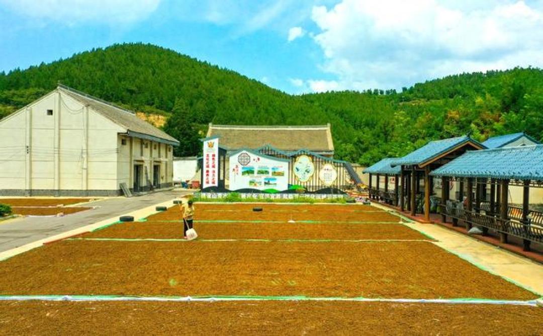四神汤发黑、发涩?问题多半出在食材:4步挑出“熏硫”干货