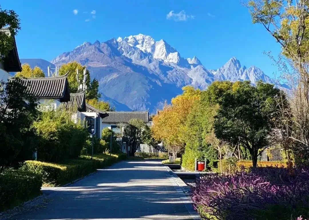 288㎡别墅649元一晚住玉龙雪山下?丽江铂尔曼囤券前,先看清社区对它“矛盾”的结论