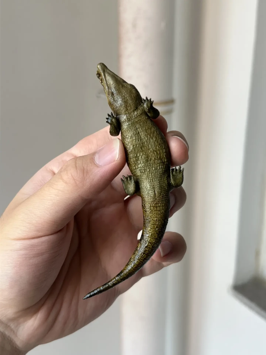 别急着扔:动物模型圈最近流行