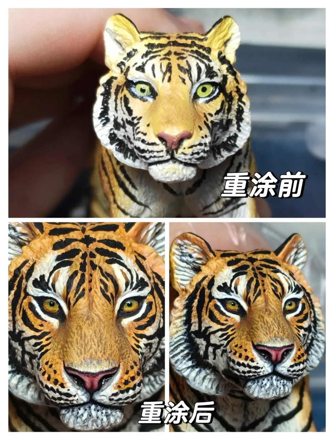 别急着扔:动物模型圈最近流行