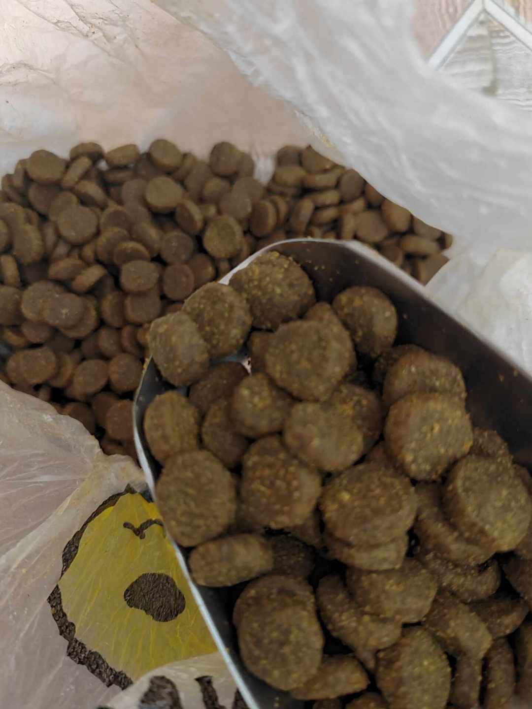 加版爱肯拿越来越难买:产地、系列、批次的三个变化,这篇讲清楚
