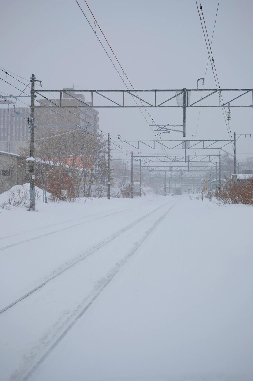 10月25日起札幌直飞重回每日:雪季机票现在是买,还是等降价?