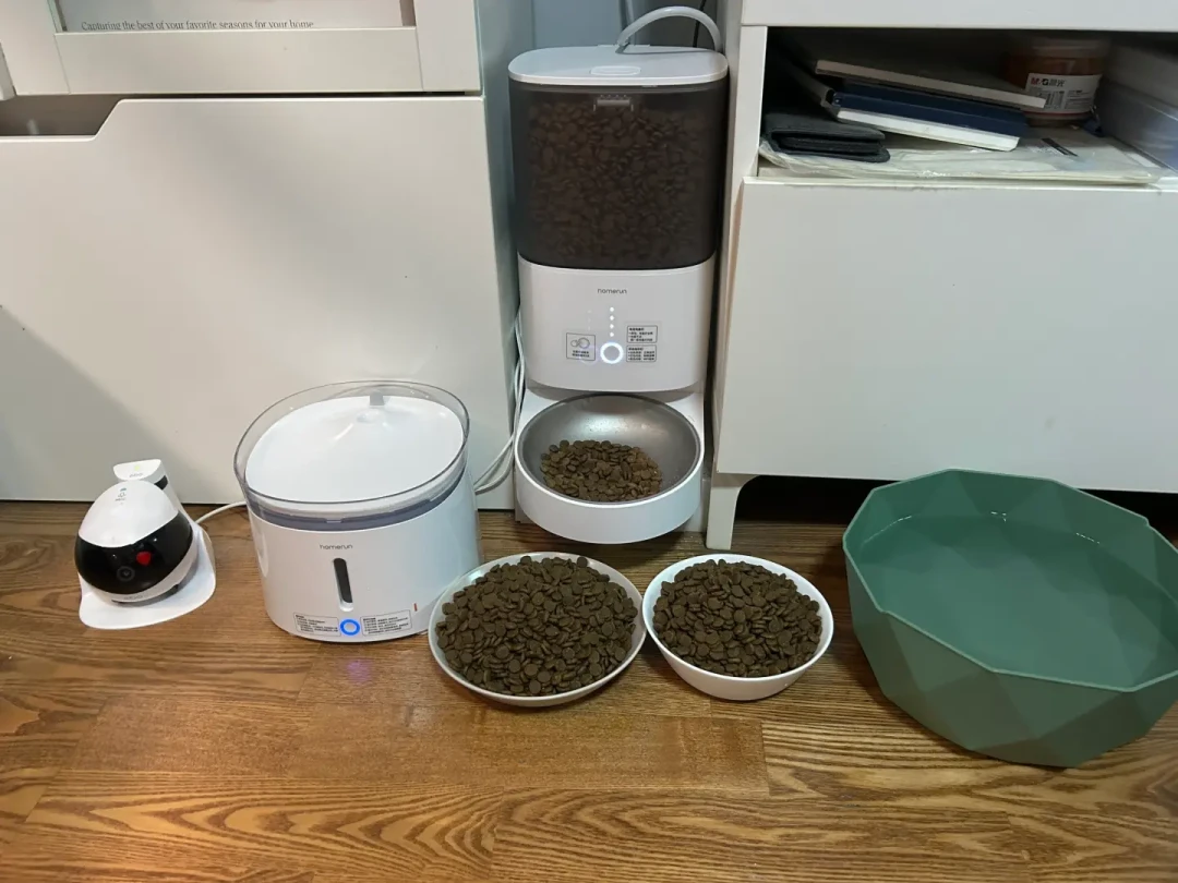 中秋国庆请3休13,但猫撑不了13天自动喂食器:四种安置方案的成本和风险,我替你比过了