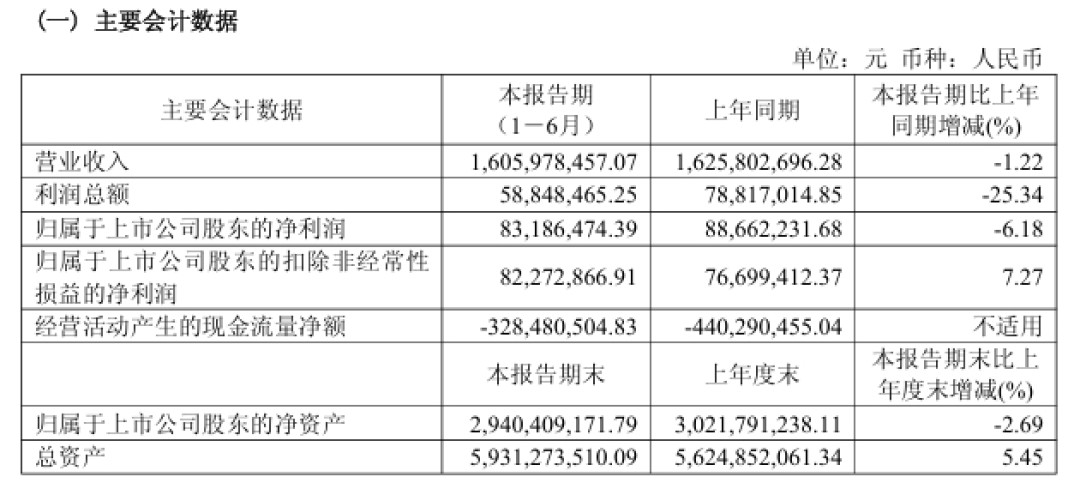 极米的年中答卷:国内承压、海外大涨87%,首款AI眼镜却在出海第一关被拦下