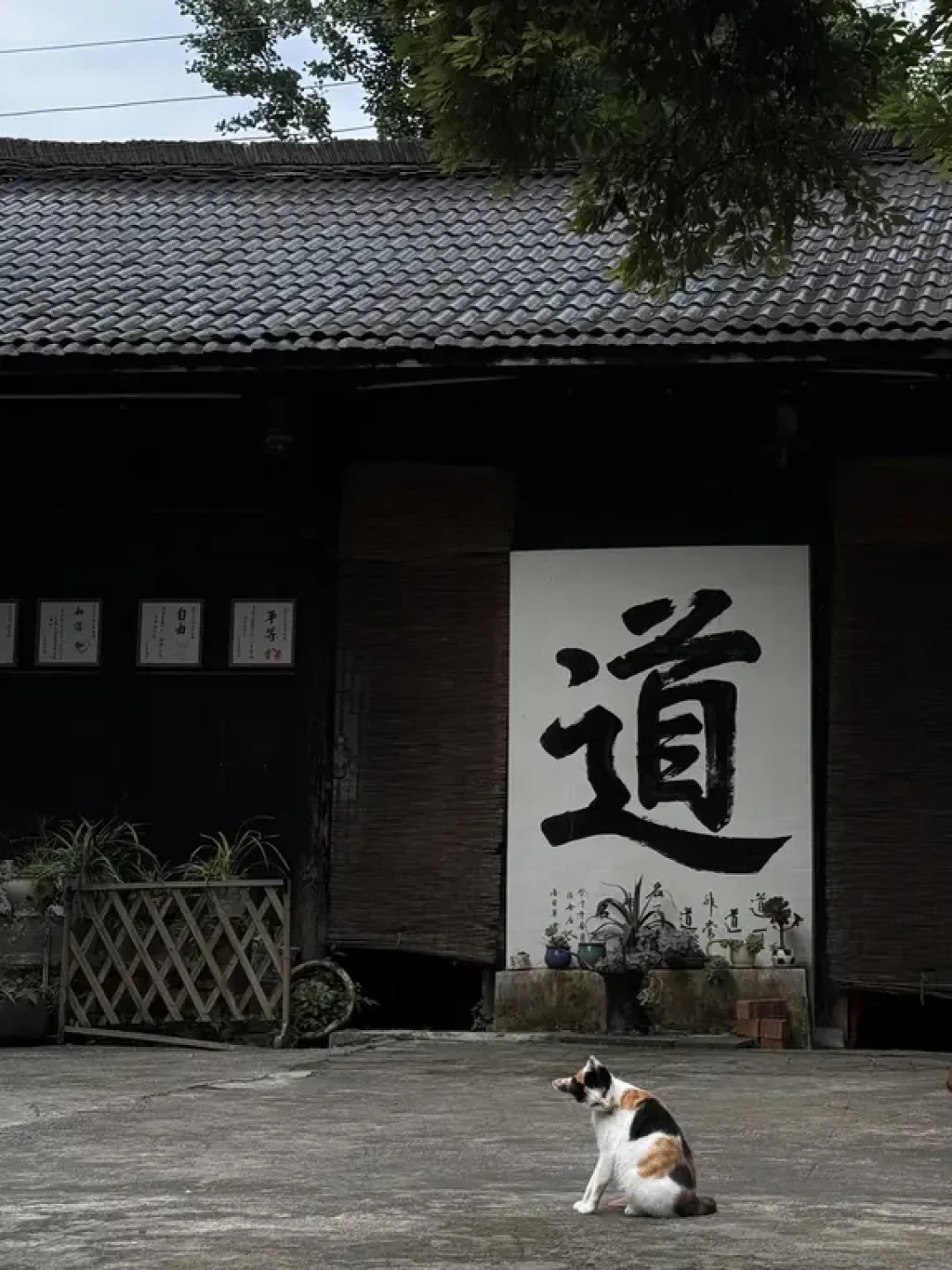 中元节刚过,年轻人挤向道观:先帮你把价格和