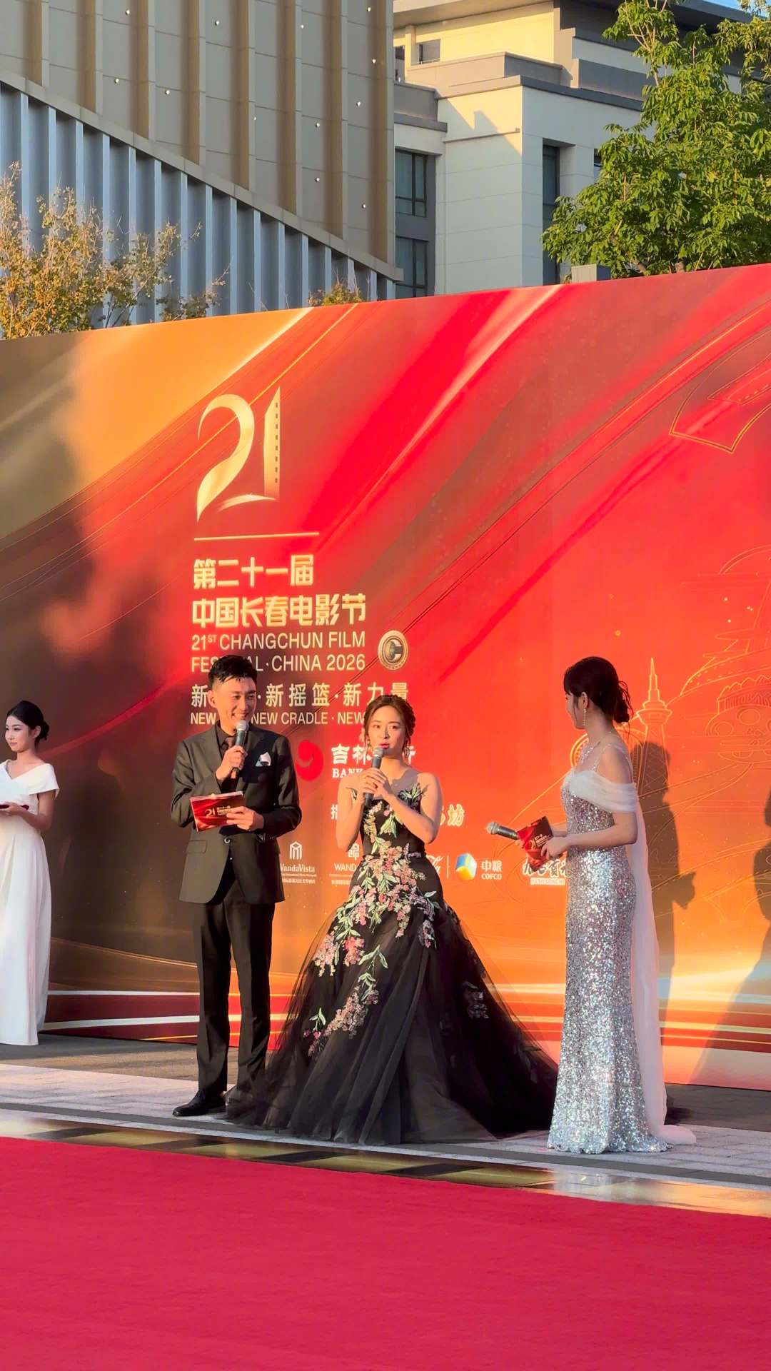 沈月的存货剧集体“冒泡”：四部待播先看清状态和平台，回坑的人按这个顺序追