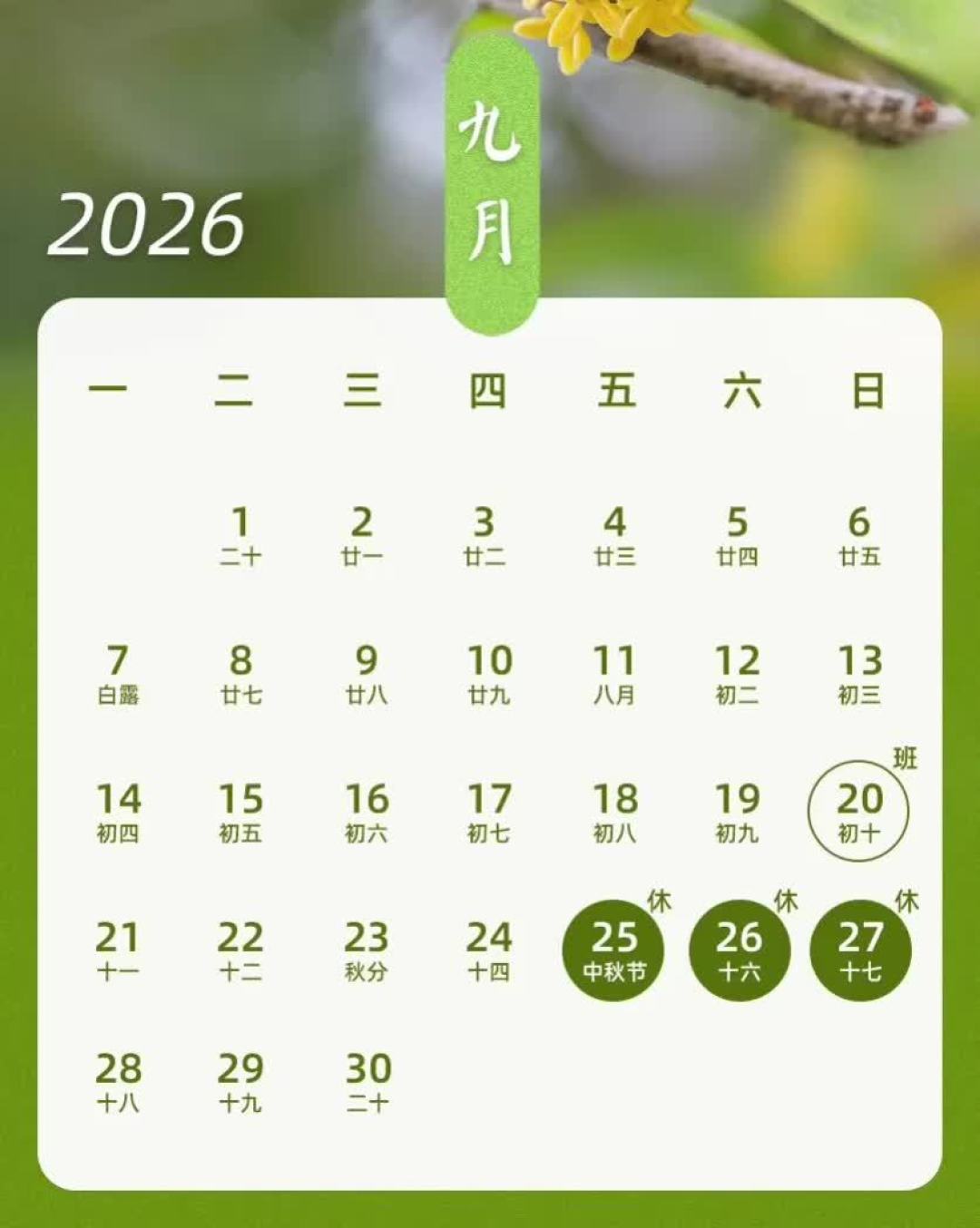 官宣“十余部”的9.25中秋档,真定档的只有4+1部:中间三个工作日才是鬼门关,13天连休的电影票这么排