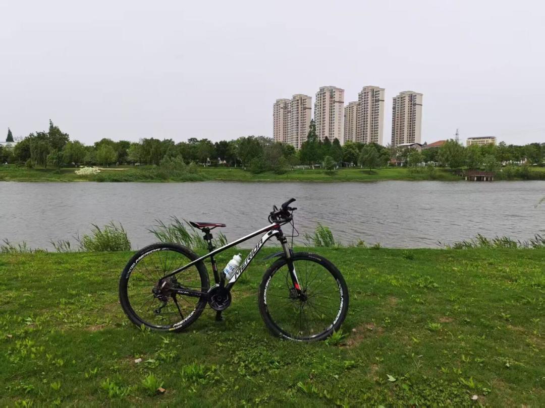 原价3998的挑战者600挂1580：拢了30多条美利达二手帖，秋天捡漏前先看清这张价目表