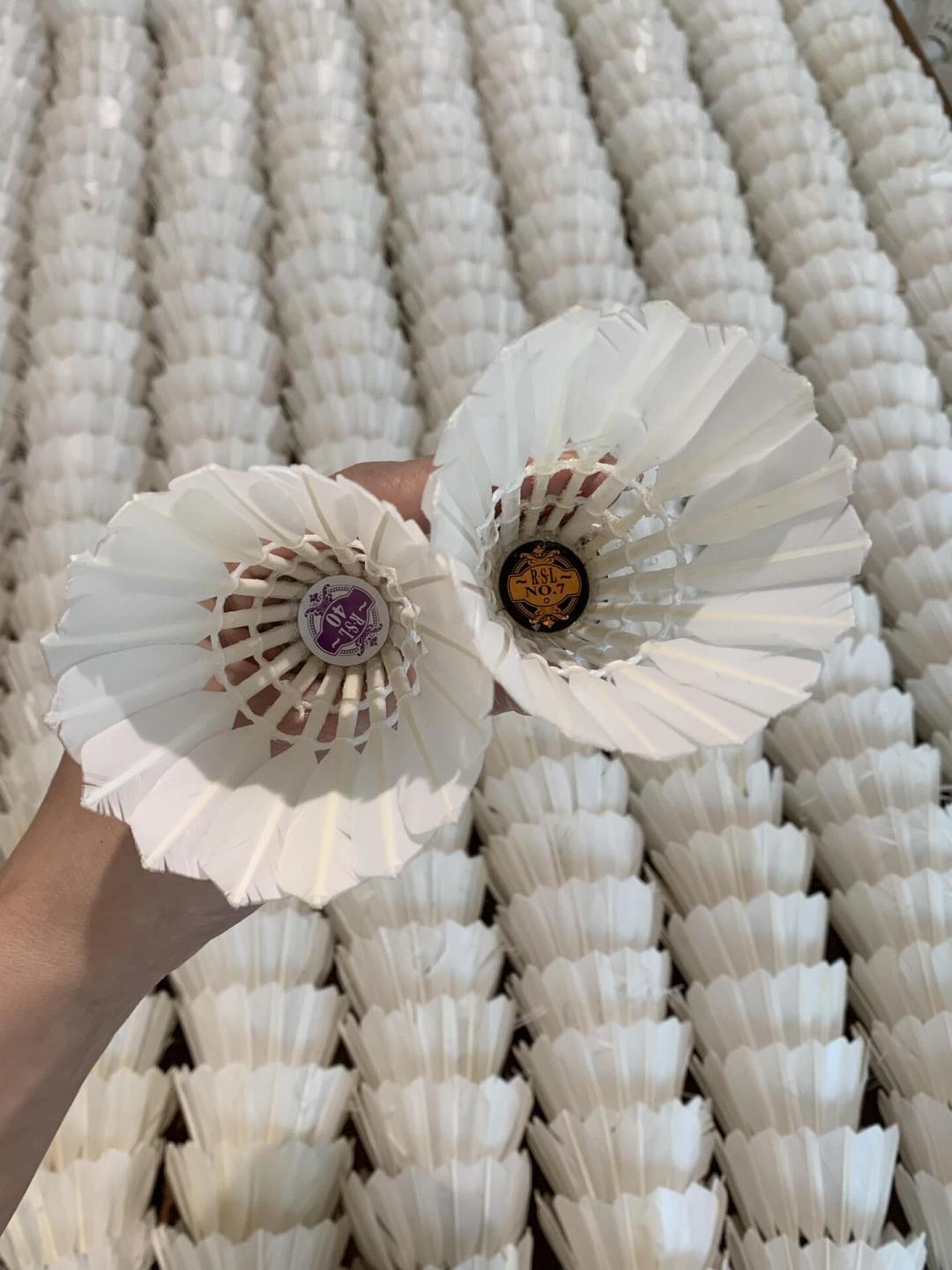 亚狮龙新球越卖越便宜,闲鱼的