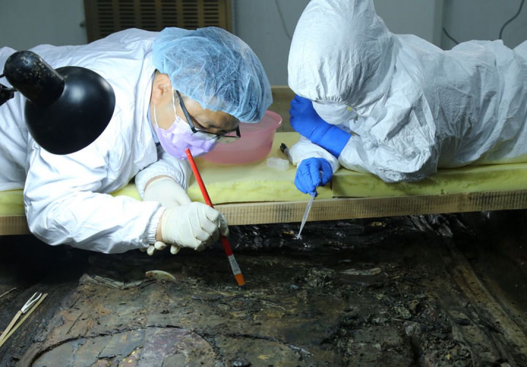 卫健委点名“道医不可信”:一张假道医证,买不来1700年医学史的真证据