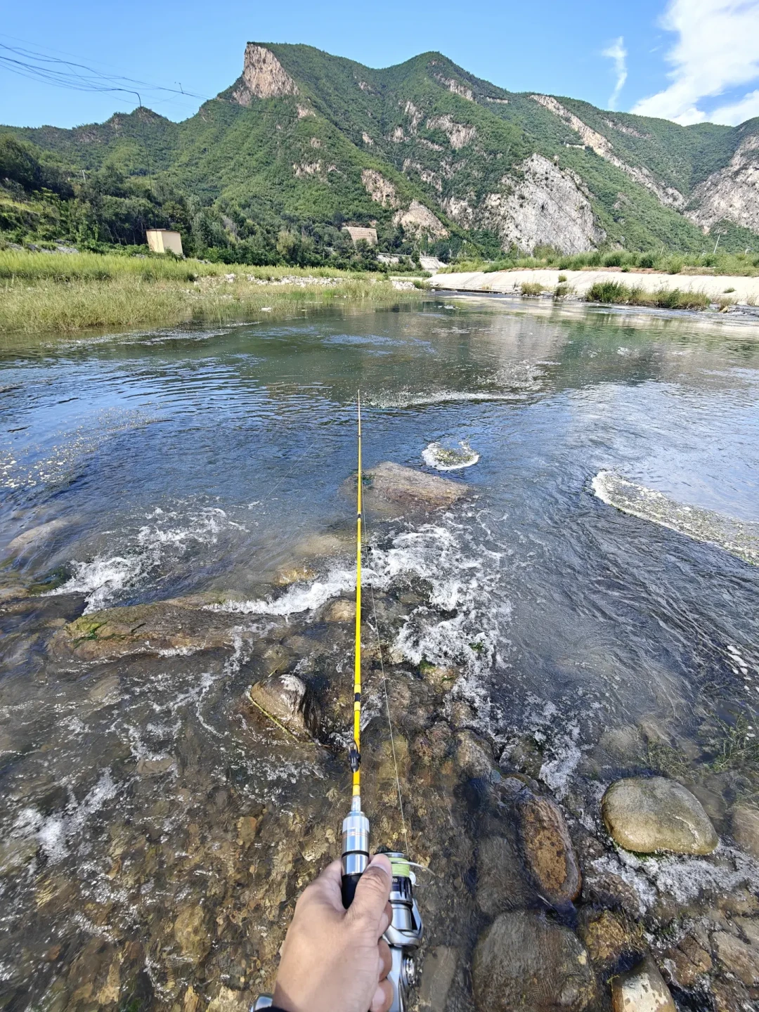 巨马刷屏先别急着下单装备:钓马口入门有三条花钱路线,150元就能上第一条鱼