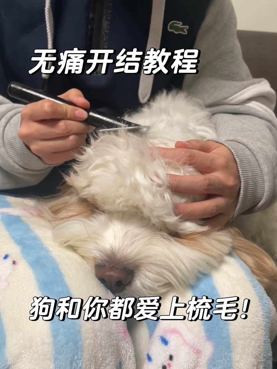 开结费一小时20到300都有:翻完两派的帖子,我发现这笔钱其实是三种价