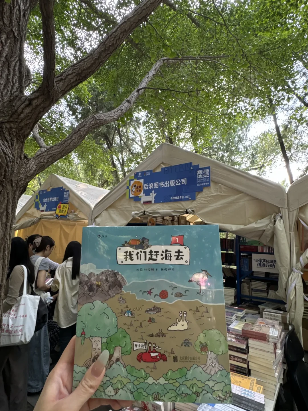地坛书市定档9月17日:去年中华书局3.5折叠券,今年哪些书值得冲、哪些先掏哪些先等