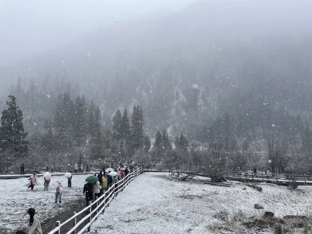 晴天登顶、雨天下撤:对了4份雪山租装备翻车记录,才搞懂399元全套省在哪