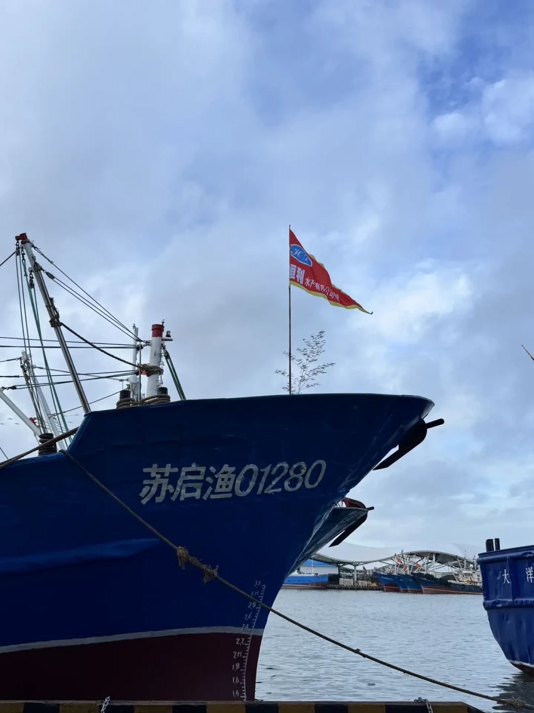 一边卖80元/斤,一边卖10元/斤:对比了十几个地方的梭子蟹行情,开海季买蟹的黄金窗口怎么抓
