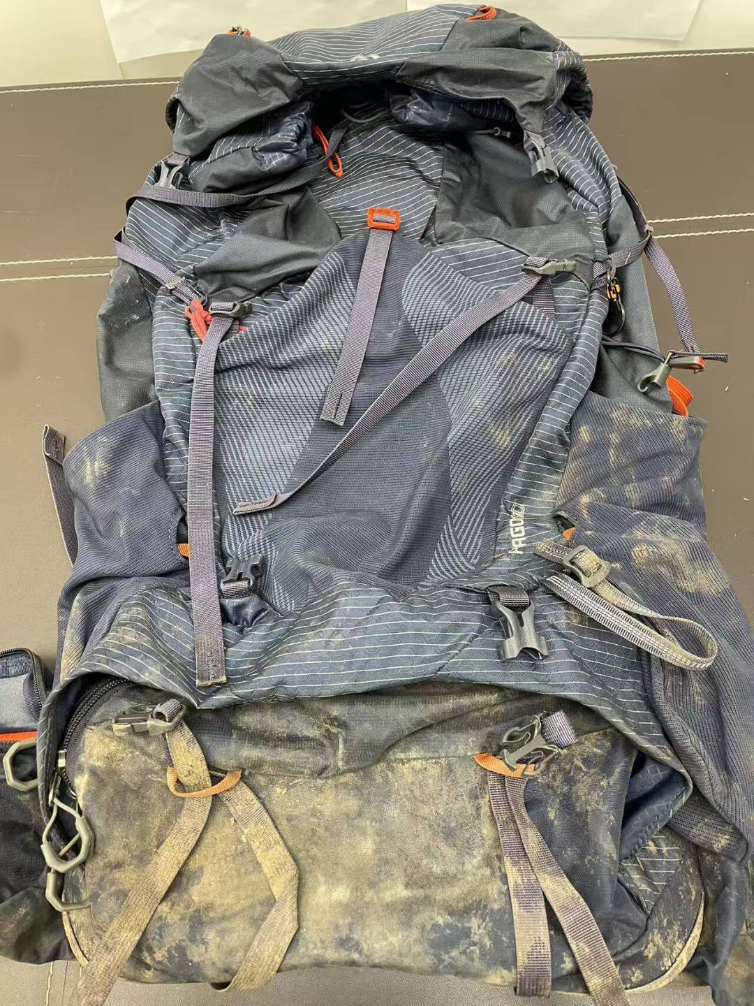 格里高利又