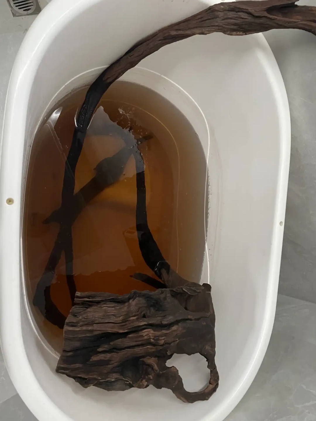 开缸一周测出pH8.5:翻了下近期青龙石、万天石和沉木的翻车帖,我把哪些石不能碰、哪块木要躲、骨架钱怎么花理清了