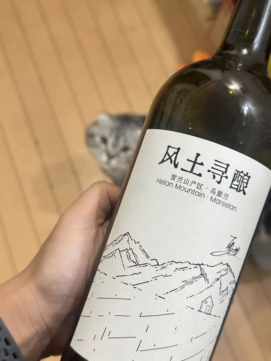 盒马把独立酿酒师的酒摆上了货架:7800瓶分给500家店、128元比寸山日常价还低——先囤还是先等,算清这三笔账
