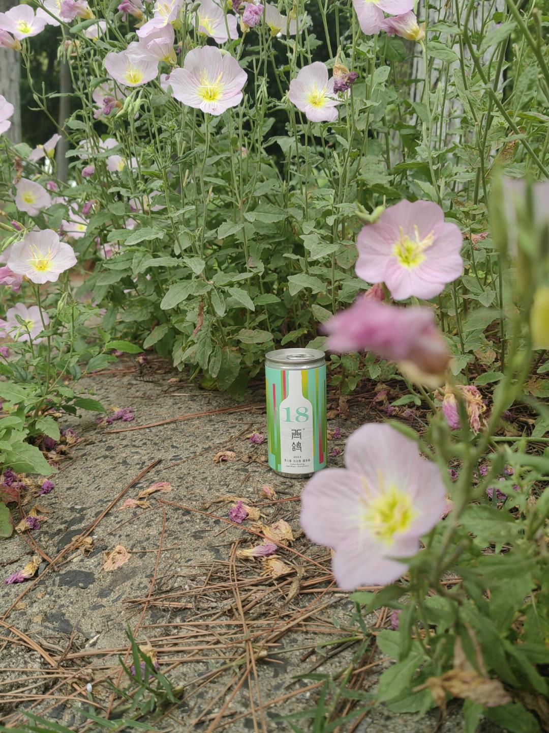 西鸽把N18装进了易拉罐:190ml、不用开瓶器,露营党的口粮酒还是智商税?