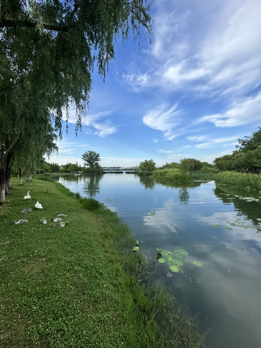 北龙湖