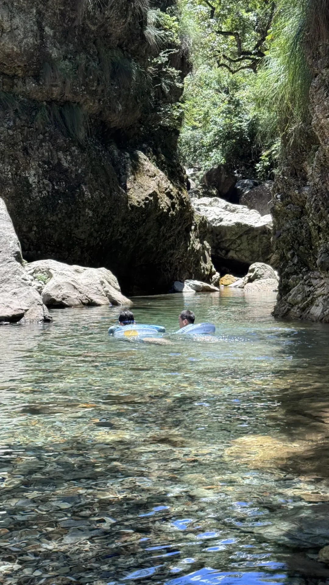 家门口浅滩这两天“不咬了”？初秋的溪流鱼不是搬去深潭，是换了班