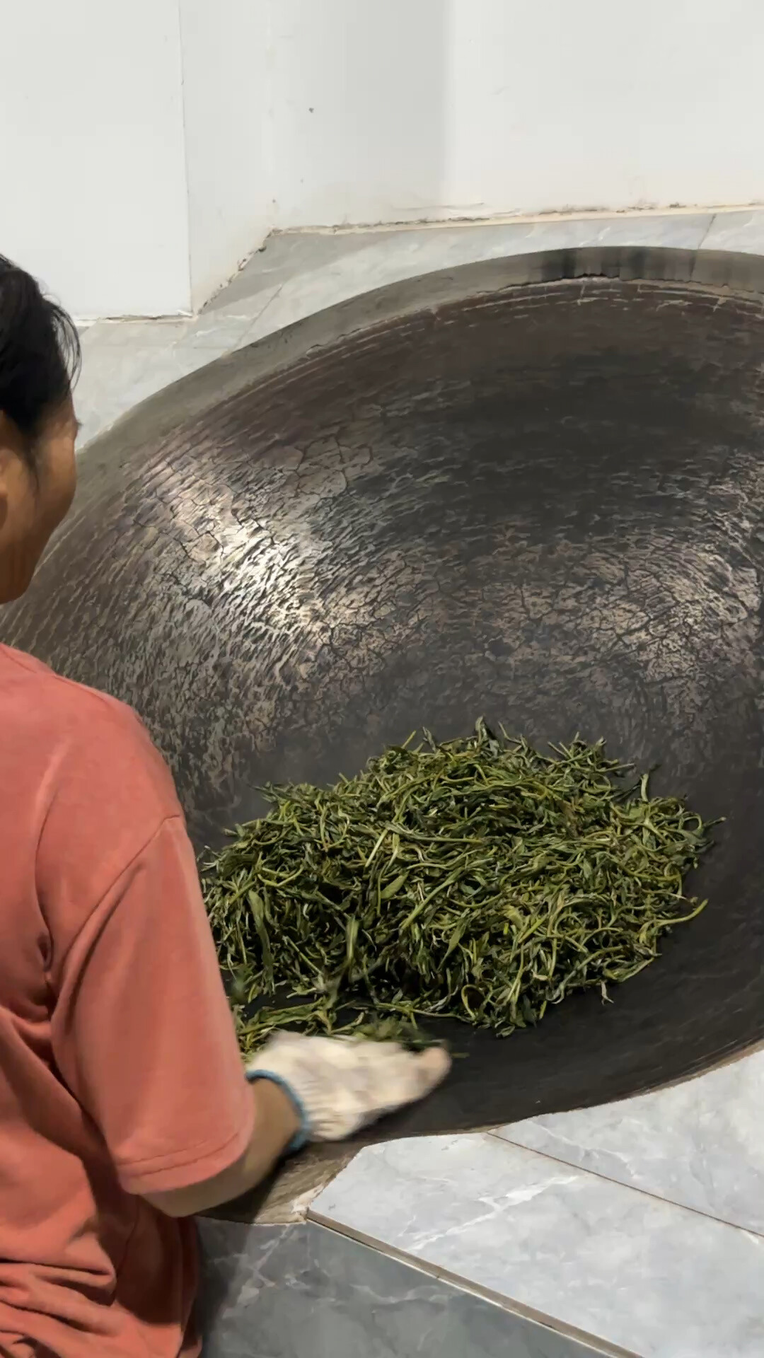 秋茶季开锣: