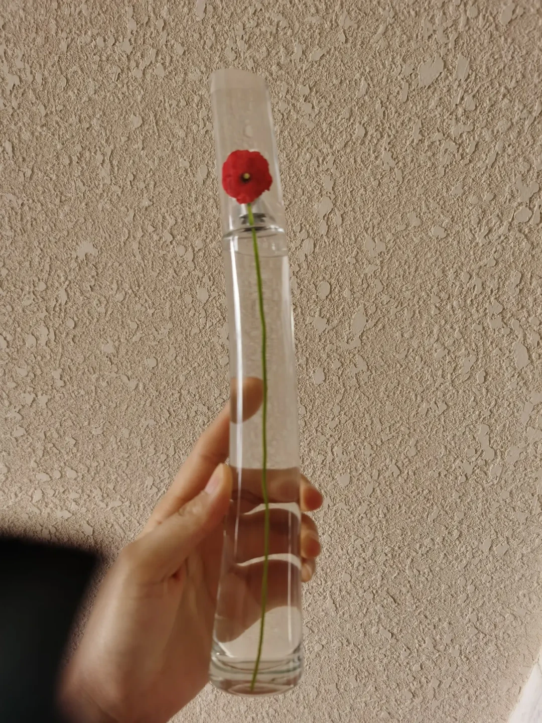 KENZO香水撤出丝芙兰:一直在用的水之恋、风之恋,去哪买、什么价才不算被宰