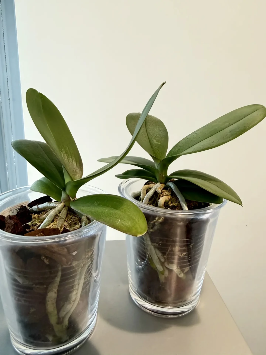 植物补光灯是智商税?先分清lux和PPFD、算清虚标电费账,再决定买不买