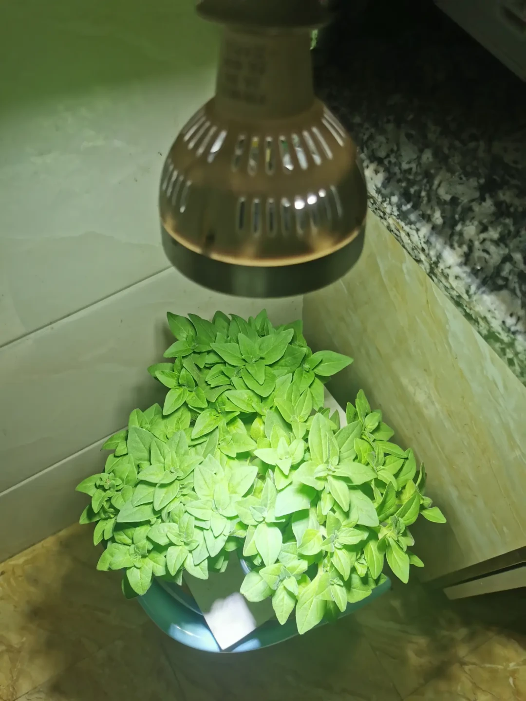 植物补光灯是智商税?先分清lux和PPFD、算清虚标电费账,再决定买不买