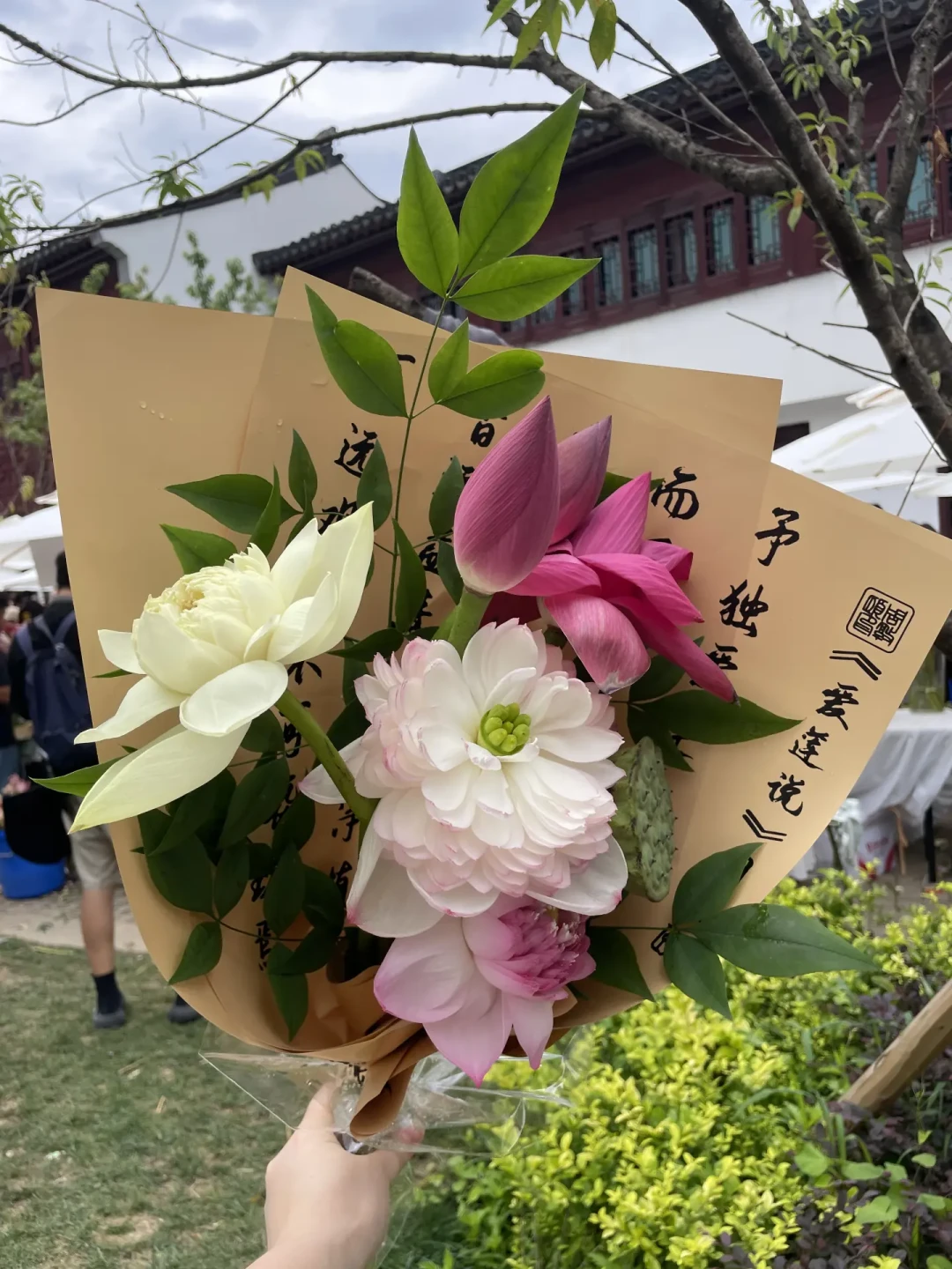 1.7万赞爆帖出圈的'桃花坞'不在综艺里:苏州老城的盒子灯19:10点火免费看,荷花市集8月底收官
