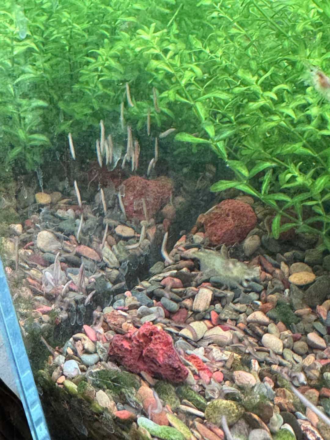 入秋全网都在喊