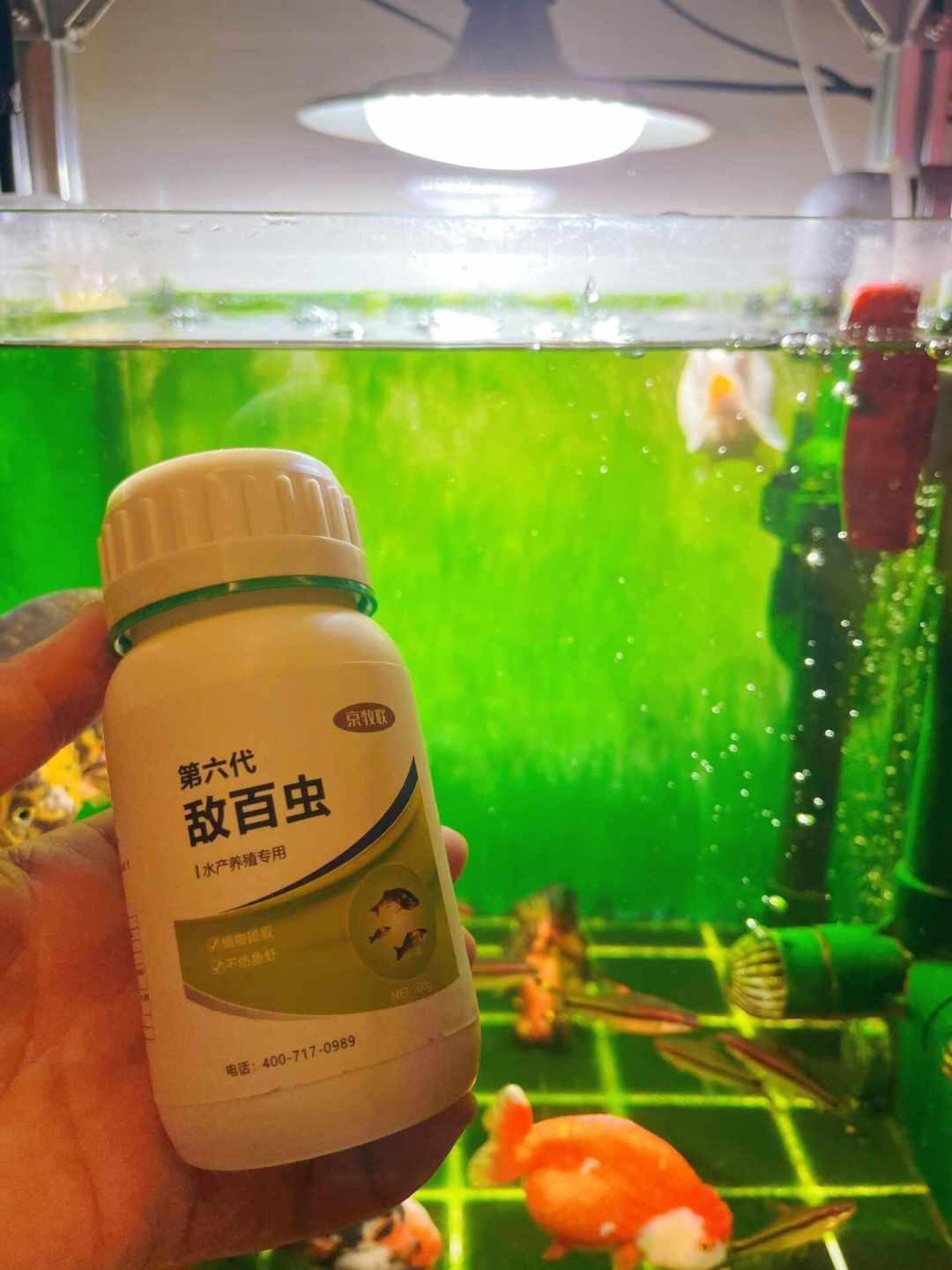 入秋全网都在喊