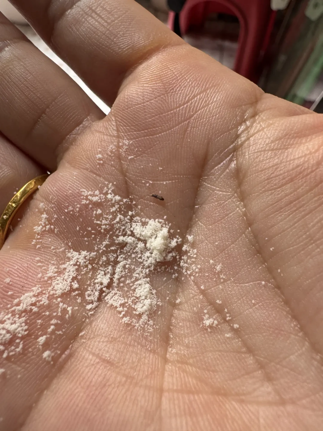 皇家美素佳儿开罐见黑点,是焦粒还是异物?翻遍全网二十多条投诉,这3类直接走索赔