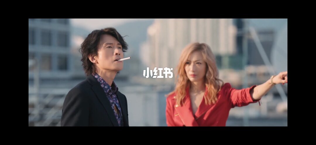 黄子华与郑秀文饰演的欢哥与V姐，是《夜王》的戏眼