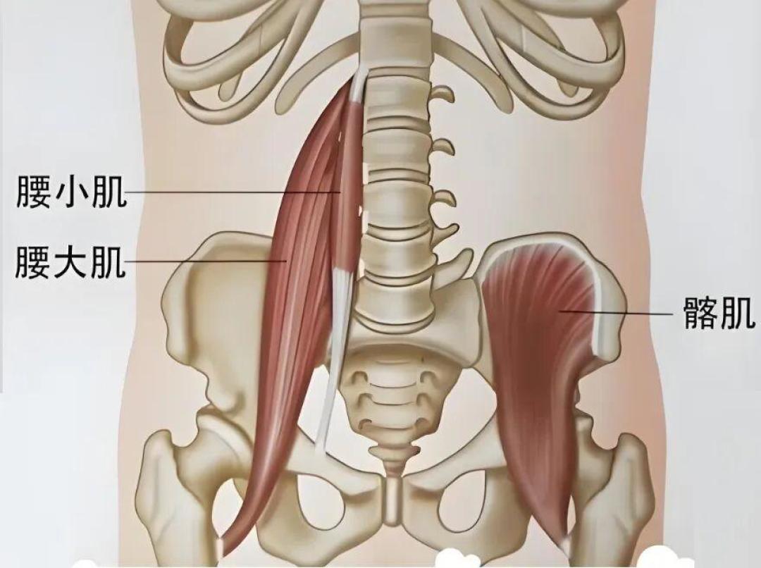 几十万人收藏的开髋,练了8周还「紧」?先把三笔账分开算