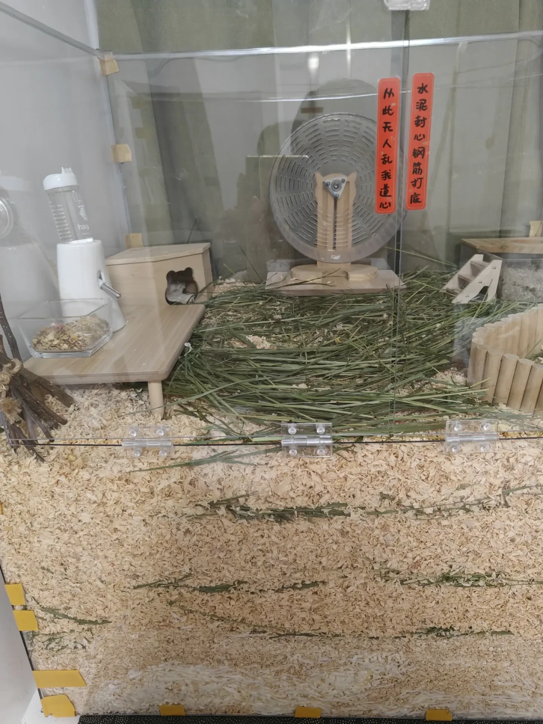 仓鼠僵了那晚,评论区教你“吹风、活埋”:换季窗口前,先看看这三处翻车