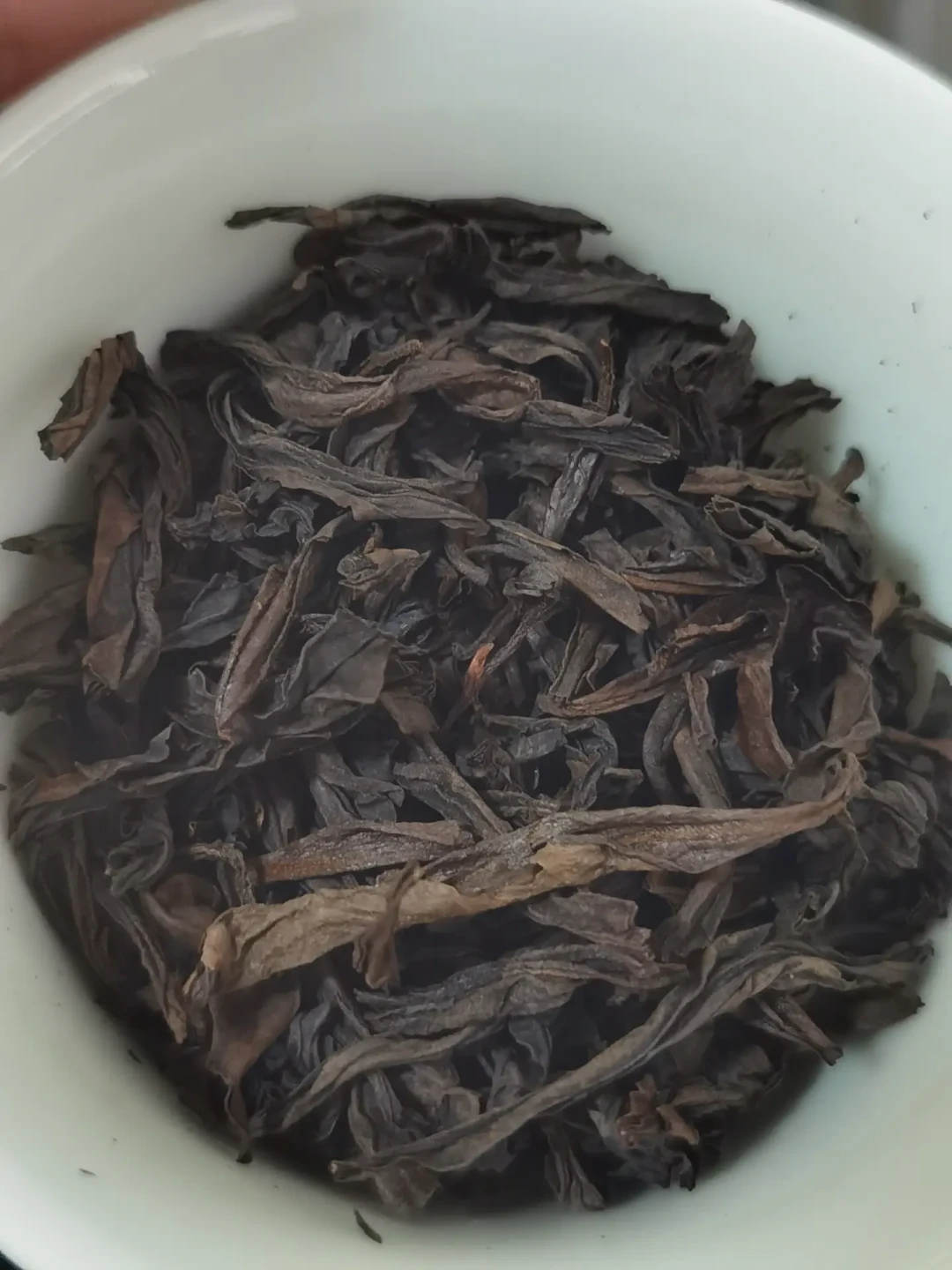曦瓜一号也有