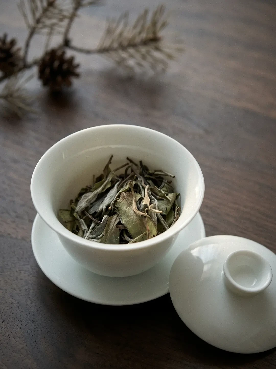 白茶入门选绿雪芽还是品品香?翻遍茶圈20多条真实测评,我整理出这份系列对照决策表